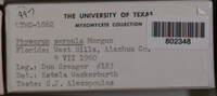 Image Associated With the Occurence